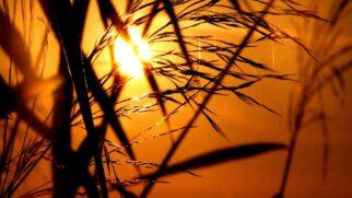 Fim de semana será de muito calor no litoral de SP