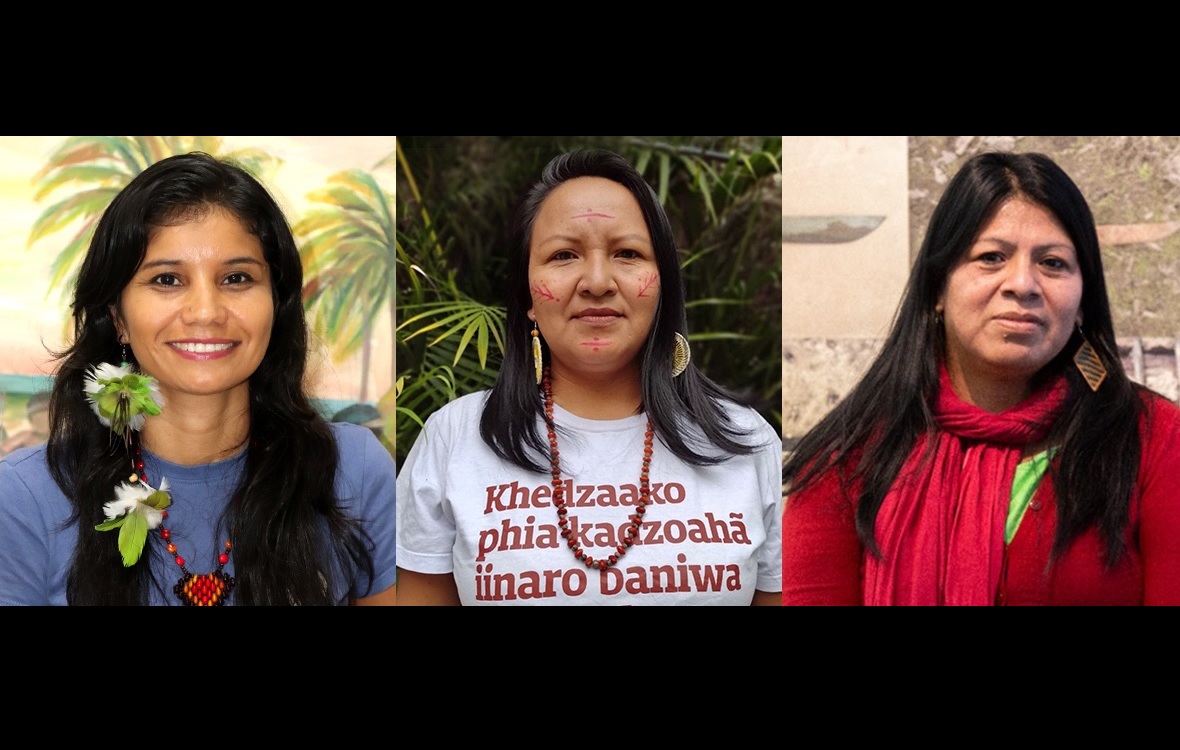 A Cátedra Olavo Setubal conta com três mulheres indígenas como titulares em 2024