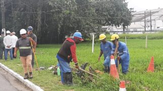 A Terracom também vai implantar três mil metros lineares de cerca, a fim de evitar a invasão da fauna silvestre