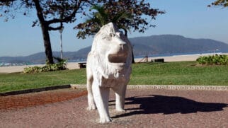 O leão é uma obra do artista Sigismundo Fernandes