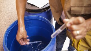 Combate à dengue vem mobilizando todo o País