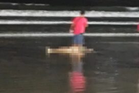 Corpo de mulher estava em decomposição e sem documentos