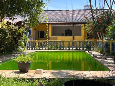 Prefeitura afirma que soltou peixes 'barrigudinhos' que se alimentam de larvas e mosquitos da Dengue