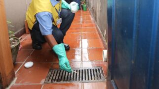 Prevenção continua sendo melhor arma na hora de combater a dengue