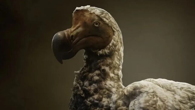 Animal passou a não existir em 1680
