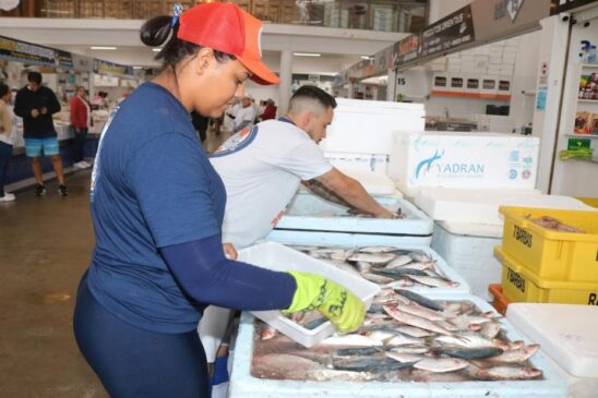 Cerca de 20 toneladas da espécie estarão disponíveis com o preço especial, após os comerciantes conseguirem negociação especial com os fornecedores
