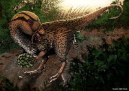 Espécime foi batizado como Tietasaura derbyiana, em homenagem ao escritor Jorge Amado e ao geólogo e naturalista Orville A. Derby