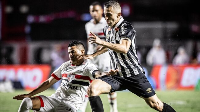 Jogador quer ajudar o Peixe a voltar para a elite do futebol nacional