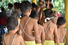 Estado tem 42 escolas indígenas