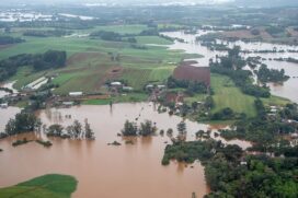 Setor agropecuário já soma prejuízos de R$ 570 milhões