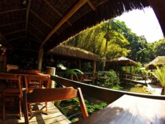 Pau do Índio é um restaurante com ambiente rústico em meio a Mata Juréia Itatins e gastronomia caiçara