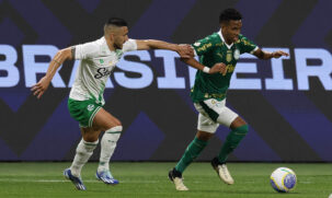 O Palmeiras segue subindo na tabela do Campeonato Brasileiro