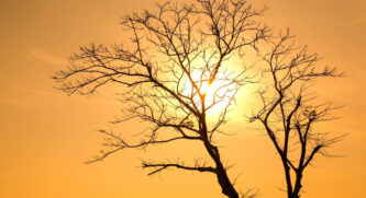 1&ordm; fim de semana do inverno será de muito calor, mas segunda o tempo muda no litoral de SP