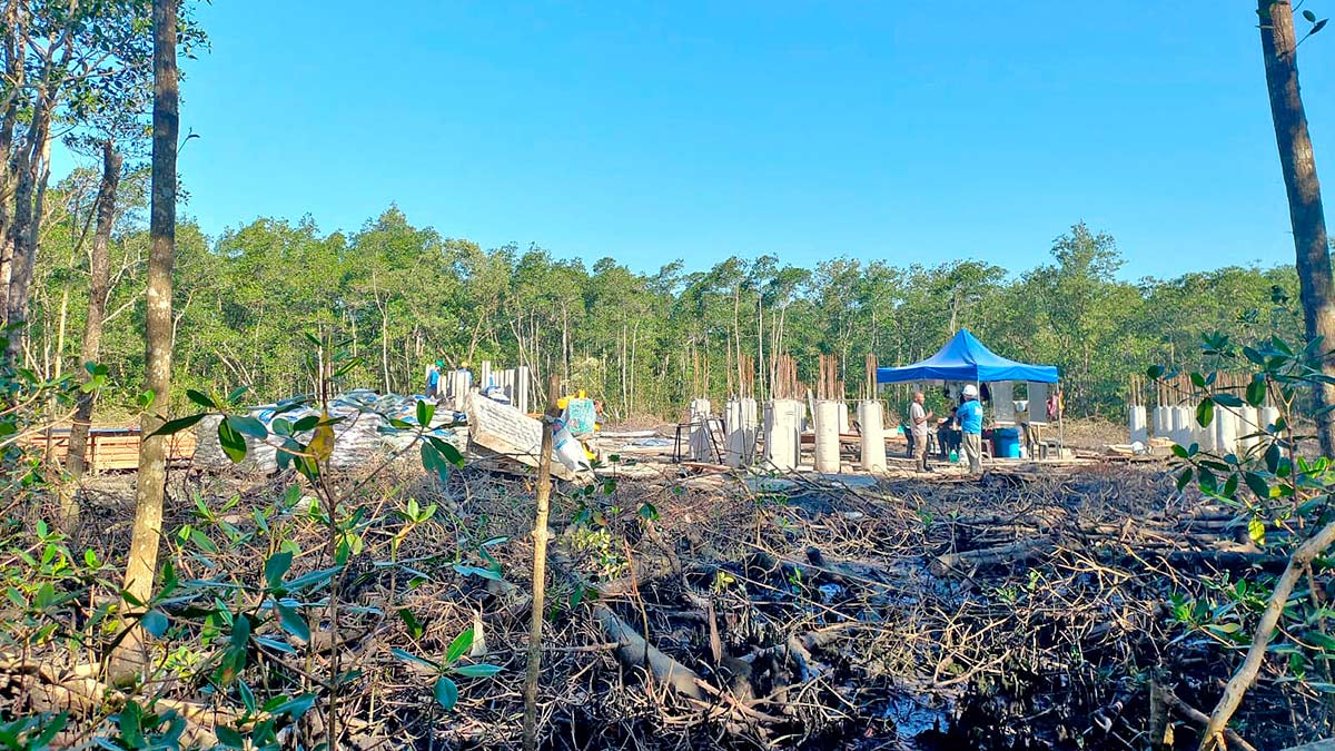 A promotora de justiça Almachia Zwarg Acerbi, do Gaema-BS, quer saber o local exato e a extensão dos danos ambientais