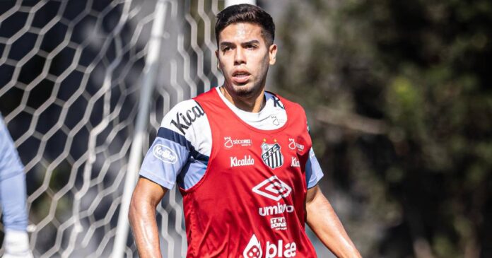 Jogador foi contratado em definitivo em 2024