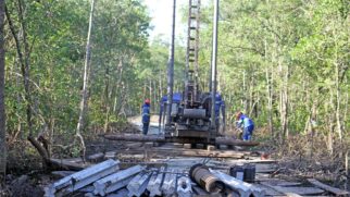 A lista de animais que habitam a área e estão ameaçados de extinção inclui a tartaruga-verde marinha