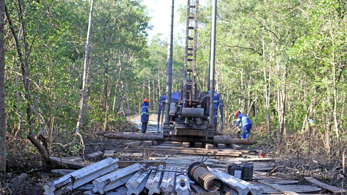 A lista de animais que habitam a área e estão ameaçados de extinção inclui a tartaruga-verde marinha