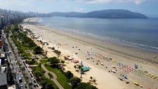 Empresas querem lotear o fundo do mar, pondo em risco praias, baleias e pinguins
