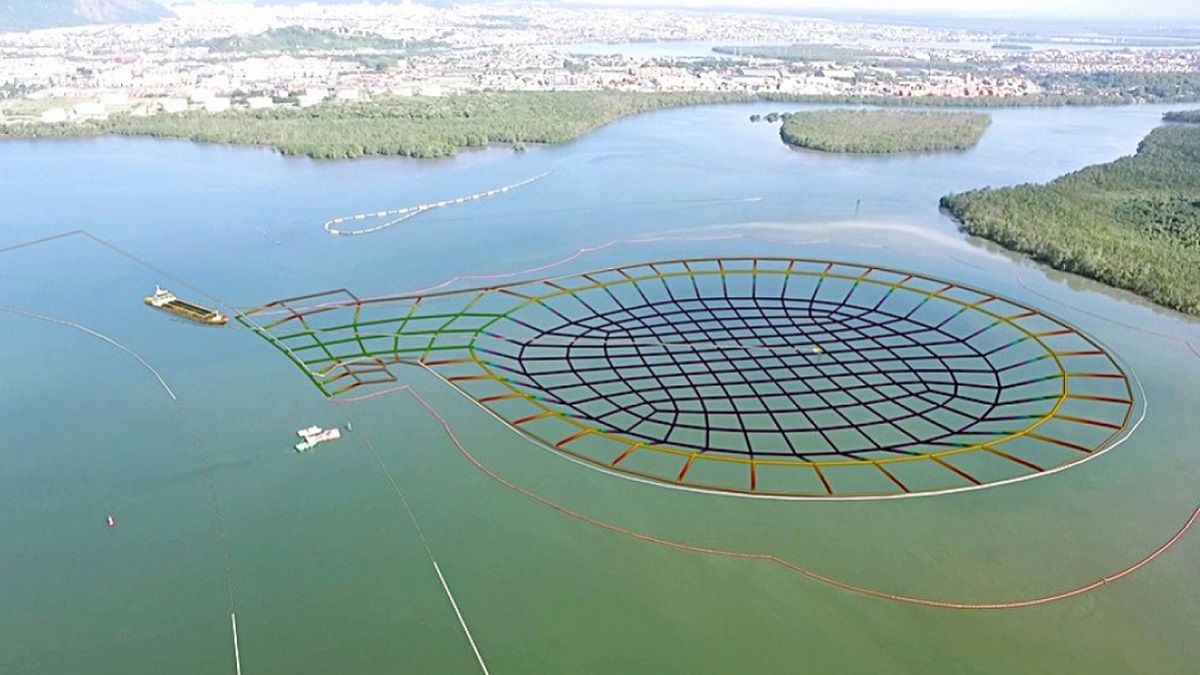 Depois de passar na Comissão de Meio Ambiente e Desenvolvimento Sustentável, os mais recentes trâmites ocorridos aconteceram a partir de 31 de janeiro do ano passado