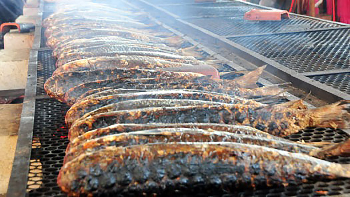 A 25ª Festa da Tainha de Praia Grande começa neste final de semana