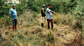 Suposta nave deixou marcas na vegetação, apontam pescadores
