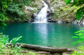 Acesso a Trilha da Lagoa Azul fica em Cubatão