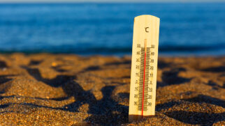 Os resultados finais apontaram que o 'bulbo úmido' acima de 35&ordm; C é altamente perigoso