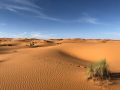 Chuva intensa deve atingir o Deserto do Saara nas próximas semanas