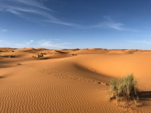 Chuva intensa deve atingir o Deserto do Saara nas próximas semanas
