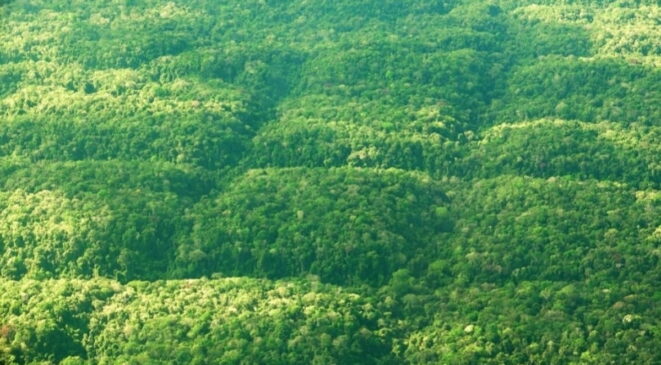 Vale lembrar que a ideia da civilização perdida é tratada como teoria da conspiração pela comunidade científica.