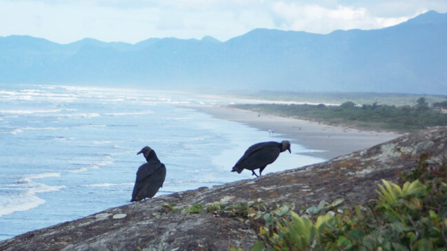 A Barra do Una do Sul possui uma vila de pescadores e é famoso por conta das suas belezas naturais