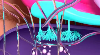 Fragmentos e partículas de microplásticos podem matar por infarto ou AVC