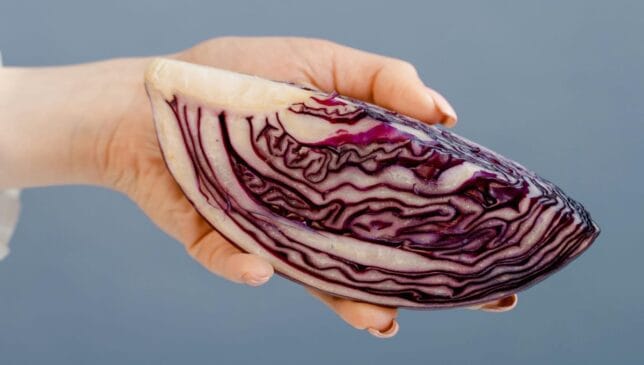 Suas folhas podem ser lisas ou crespas e com um sabor adocicado, sua cor é derivada do pigmento antocianina presente nas folhas