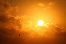 Nova onda de calor já começa a partir desta segunda-feira (2)
