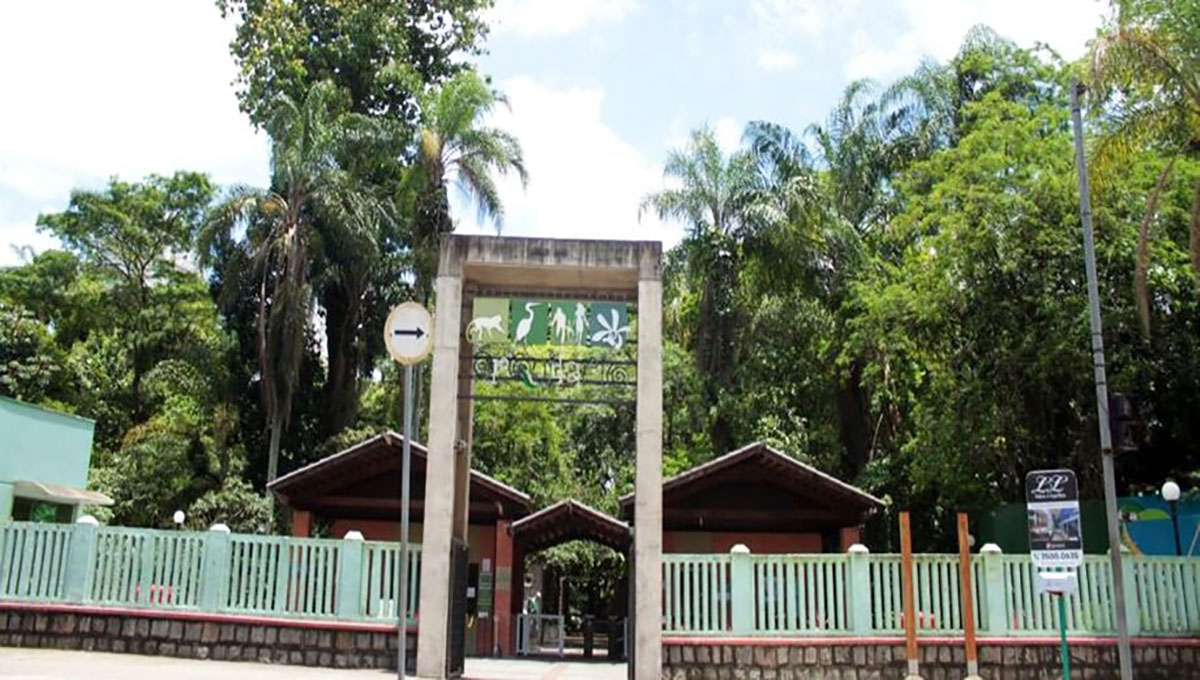 Um papagaio e três saguis foram furtados do Orquidário de Santos