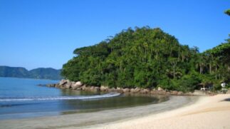 Localizada a 17 km do centro de Ubatuba, a Praia Domingas Dias é um verdadeiro paraíso para famílias
