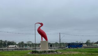 Guará vermelho ganha monumento na entrada de Cubatão