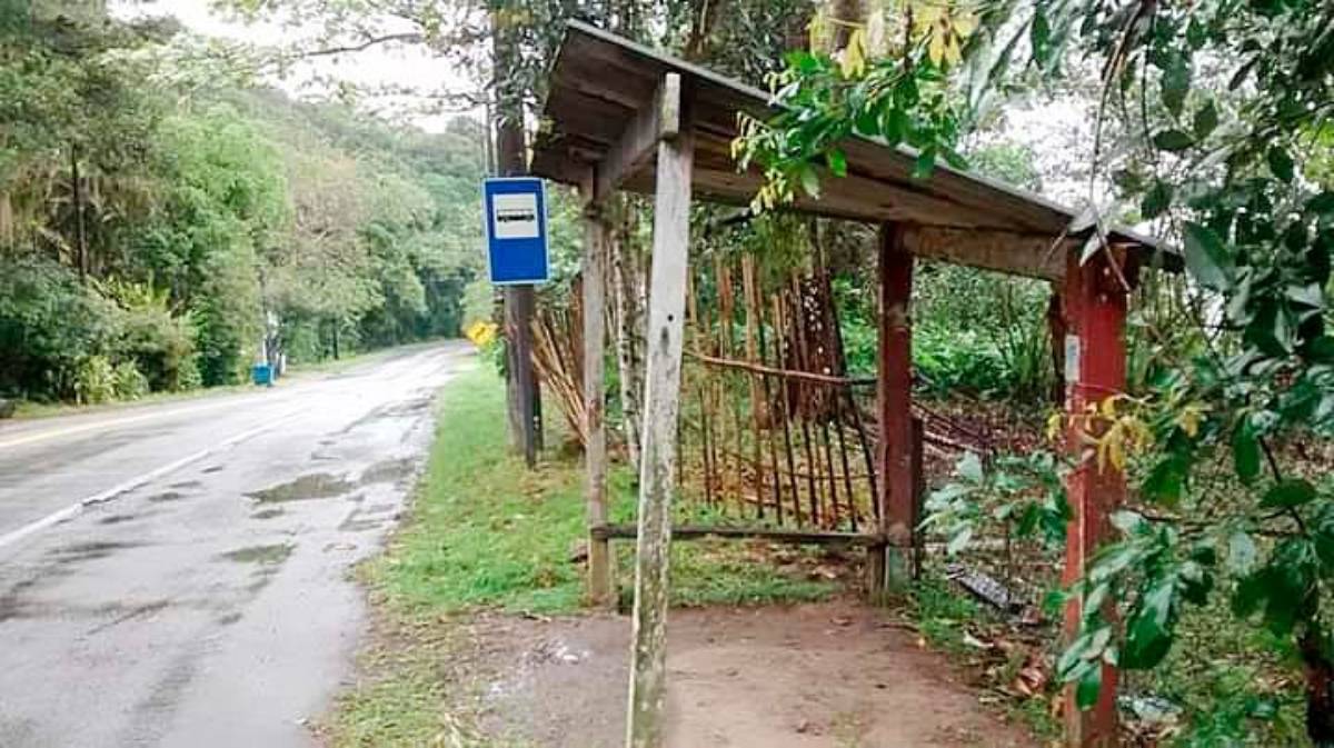 Estrada Guarujá-Bertioga, área conhecida como Rabo do Dragão, abriga dezenas de famílias de caiçaras, crianças e idosos