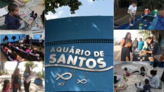 Menores de 7 anos e maiores de 65 têm entrada gratuita