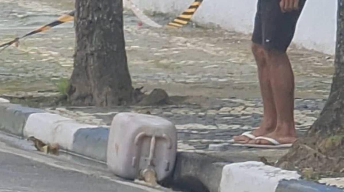 A meta é sensibilizar o maior número de munícipes