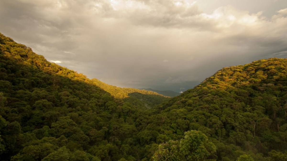 Cidade possui no Ecoturismo, o Turismo Rural e até o Histórico-Cultural como principal foco / Divulgação/Parque do Zizo