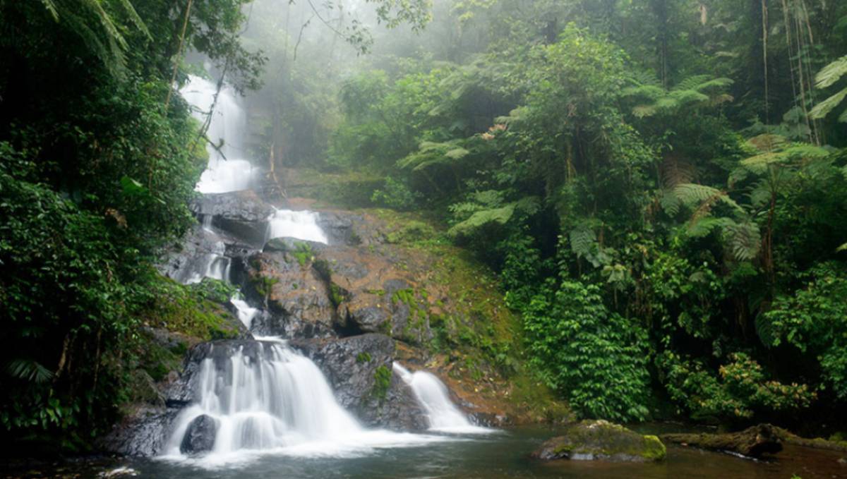 Cidade conta com inúmeras trilhas e cachoeiras encontradas em grandes cenários de Mata Atlântica / Divulgação/Paque do Zizo