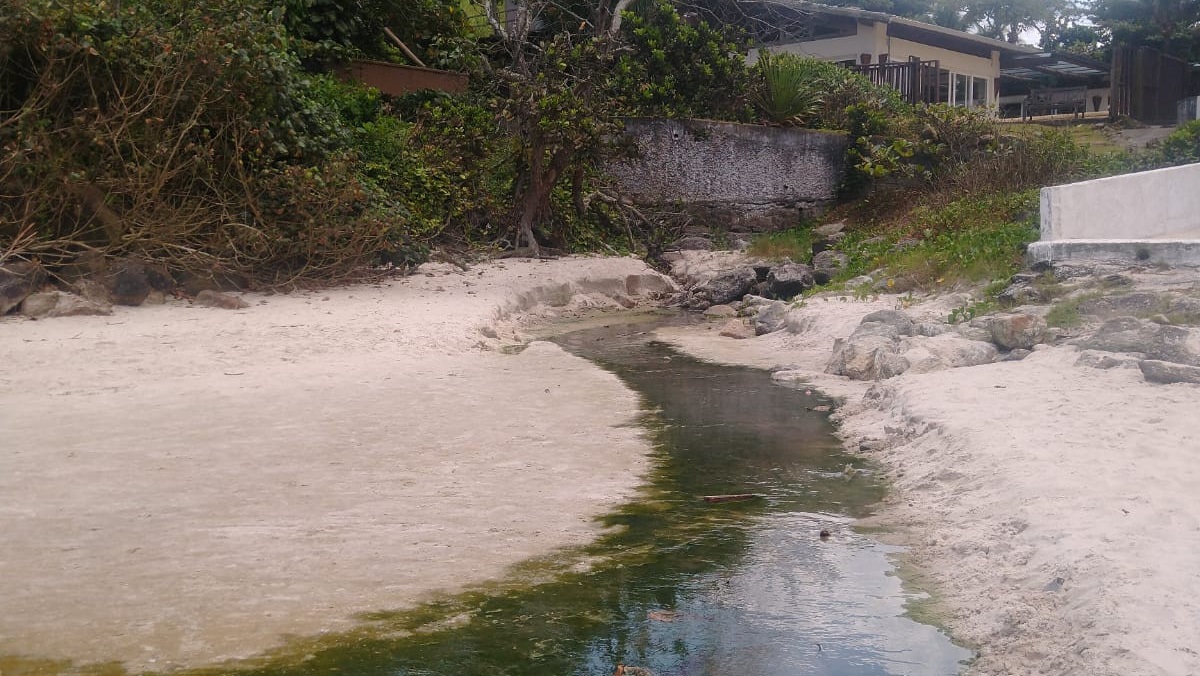 Moradores da Praia do Tombo, em Guarujá, enviaram imagens de suposto descarte clandestino que estaria atingindo a região