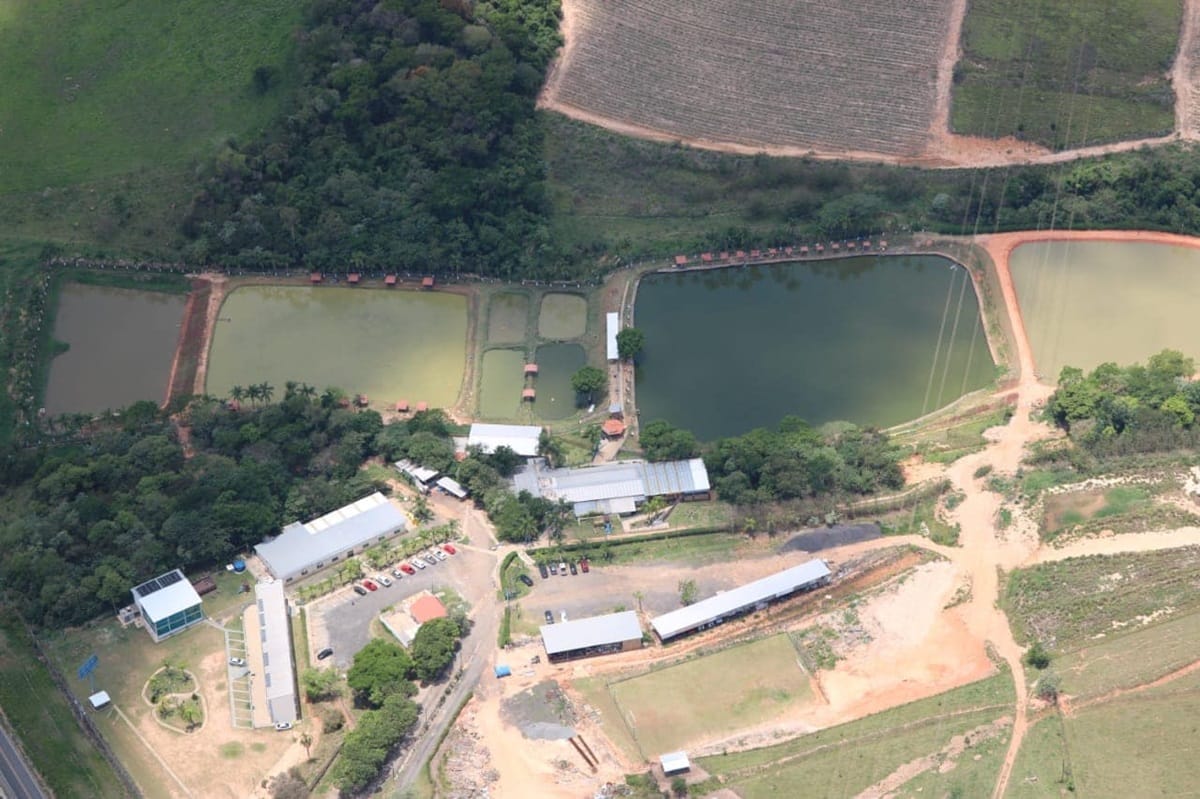 Pesqueiro Boitupesca, em Boituva (Divulgação)