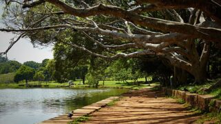 A cidade também é chamada de "Terra do Verde, da Água e do Sol", graças às suas ruas e praças arborizadas