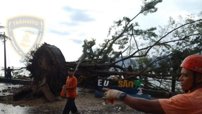 Avenida Manoel Hipólito do Rêgo teve problemas com queda das árvores