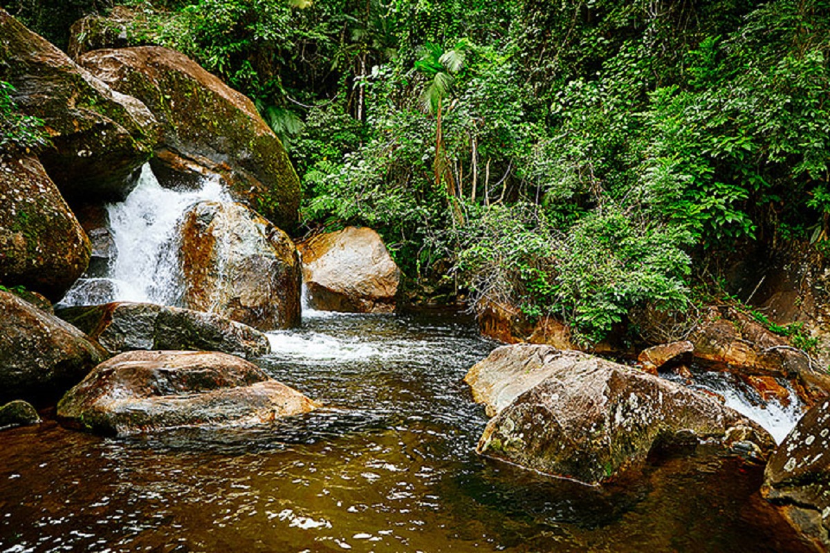 Parque Serra do Mar, Caraguatatuba (Foto: Divulgação)