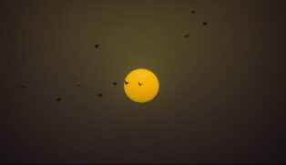 Partículas de radiação solar podem atingir diretamente o Brasil