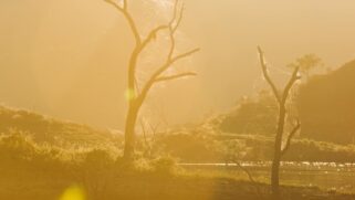 São Paulo e o litoral do Estado podem ter até 150 dias corridos de calor intenso até 2050