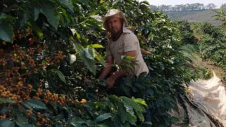Com apenas oito hectares dedicados à cafeicultura, Ronaldo Silva demonstrou que tamanho não é documento